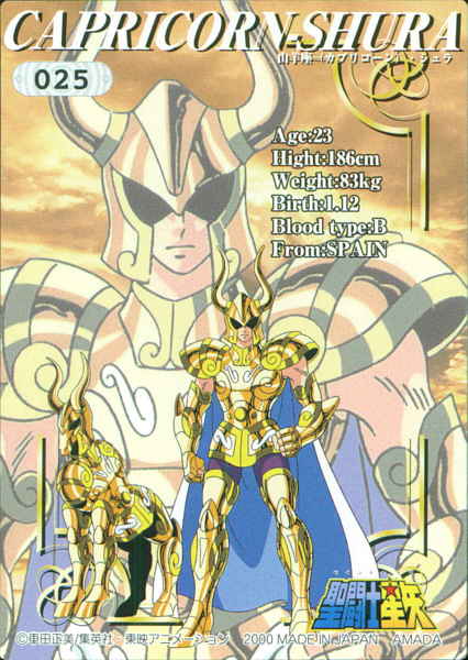 Otaku Gallery  / Anime e Manga / Saint Seiya / Gold Saints / Shura di Capricorn / capricorn4.jpg